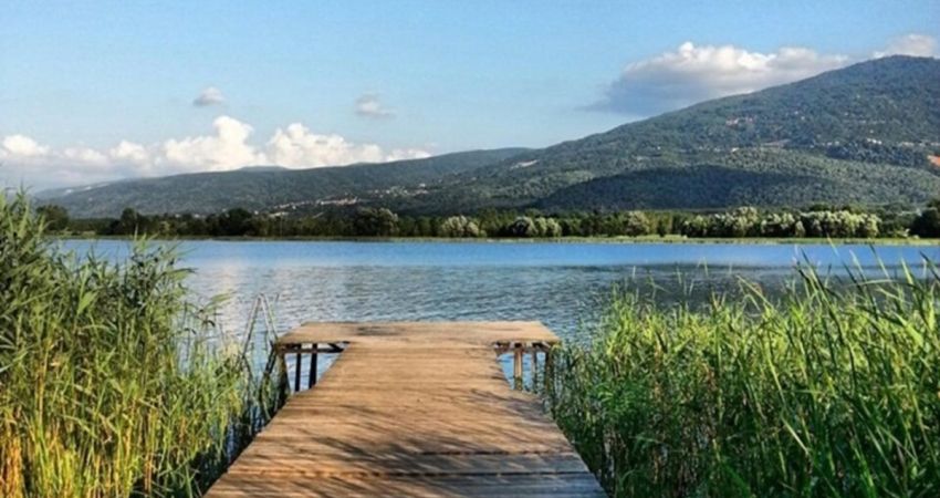 Günübirlik | Maşukiye Sapanca Ormanya Turu