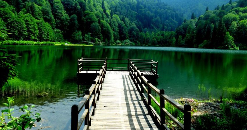 Antalya Çıkışlı Uçaklı Karadeniz Yaylalar ve Batum Turu | 3 Gece Otel Konaklamalı
