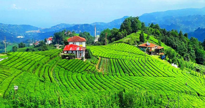 Kurban Bayramı Özel | Karadeniz Yaylalar ve Batum Turu | 3 Gece Otel Konaklamalı